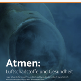 Die deutschen Lungenärzte zur Luftverschmutzung in Deutschland